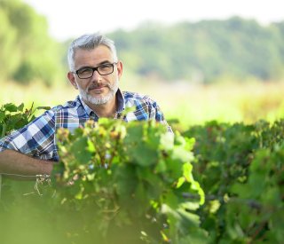 Viticulteur dans les vignes