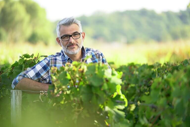 Viticulteur dans les vignes