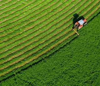 Shutterstock souverainetealimentaire