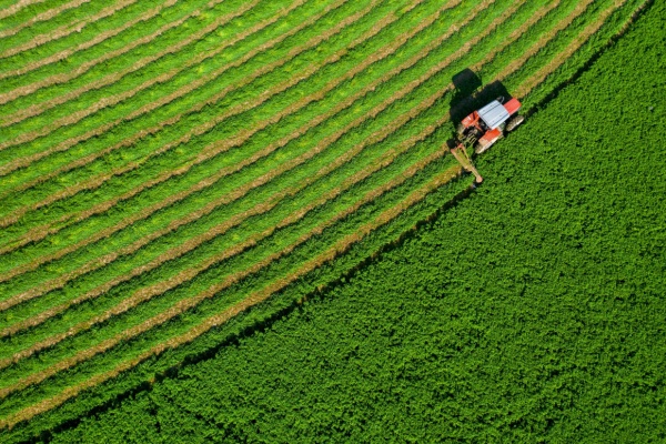 Shutterstock souverainetealimentaire
