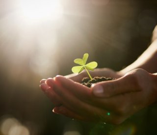 Shutterstock handicapnaturelagriculture