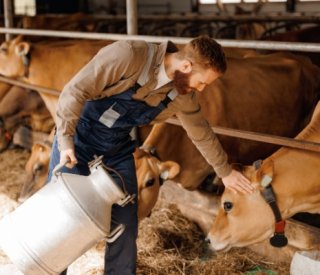 Shutterstock entreevigueursagriculture