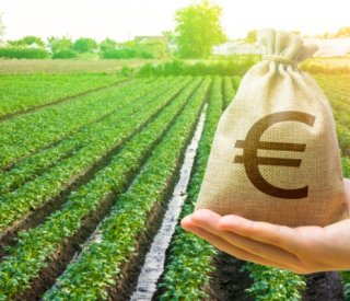Shutterstock terresagricolestaxefonciere