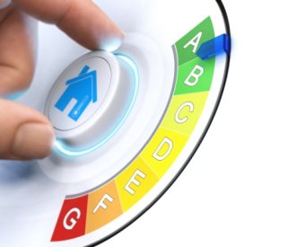 Shutterstock DPEevolutionfavorable 1