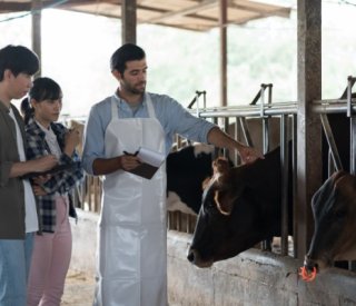 Shutterstock aideformationagricole