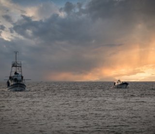 Shutterstock licencereuropeennepeche