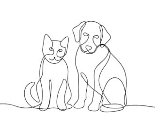 Shutterstock reglesanimauxdomestiques