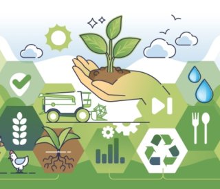 Shutterstock LFSSagriculture