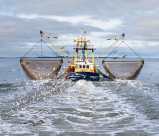 Shutterstock pecheobligationsdeclaratives