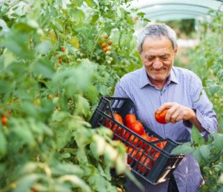 Shutterstock pensionretraitesalariesagri