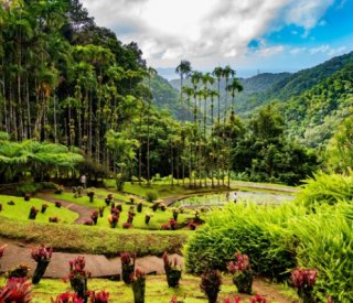 Shutterstock 2665534823outre20mer