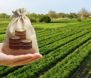 Shutterstock LFagriculture 2