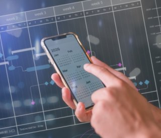 Shutterstock dnssubsitution