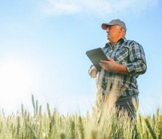 Shutterstock pointretraite