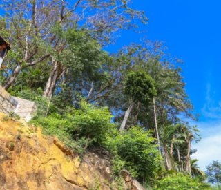 Shutterstock reconstructionmayotte