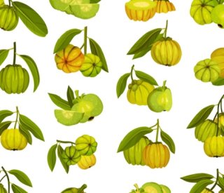 Shutterstock renouvellementgarcinia