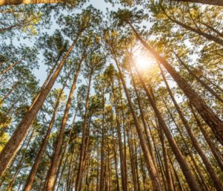 Shutterstock tauxreduittvaagriculture