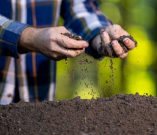 Shutterstock fertilisantssolsagri 1
