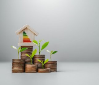 Shutterstock primerenovrenforcement