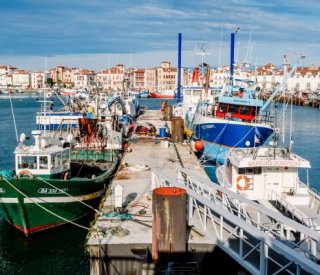 shutterstock navireportpeche