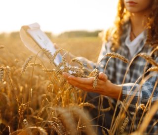 shutterstock nonsalariesagricoles