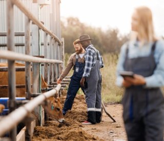 shutterstock maladieproagri